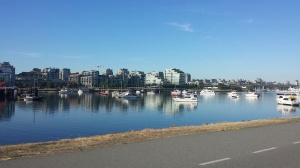 the lovely view from my seawall bike ride to work